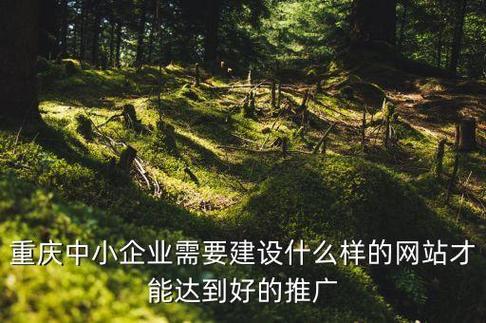 重慶中小企業(yè)需要建設(shè)什么樣的網(wǎng)站才能達(dá)到好的推廣