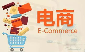 經(jīng)開區(qū)推出 政府采購網(wǎng)上商城 ,政府采購進(jìn)入電商時代