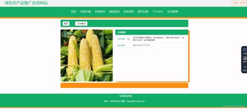 java項目 基于ssm框架實現(xiàn)的綠色農(nóng)產(chǎn)品推廣應(yīng)用網(wǎng)站果蔬商城水果商城蔬菜商城
