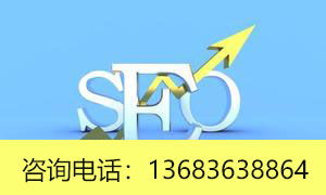 北京專業(yè)網(wǎng)站優(yōu)化方案